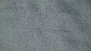 Pee on the bed