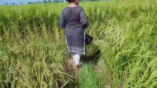 Mother-in-law let her son-in-law piss on her gorgeous legs