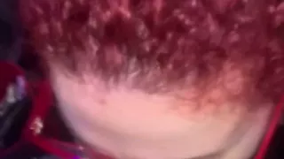 Swallow