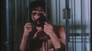 Serena Golden Age of Porn
