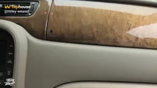 Blonde Whore Lets a Stranger Fuck Her on the Autobahn Parking Lot