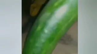 A young woman, suffering from the pain of not having her partner near her, is inserting a cucumber into her pussy.