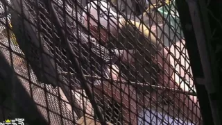 Tattooed Twinks and Mature Men Get Asses Screwed and Creampied in Bareback Style