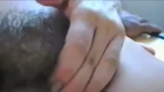 Old Pigs Tell Their Sins