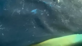 Bbc, Wanking, Bbc Gay, Public, Cumshot,