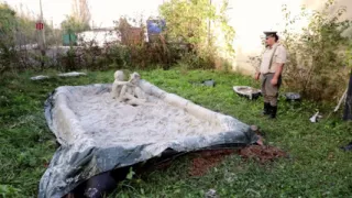 Andrea Heavy Labour Scene 5 of 5