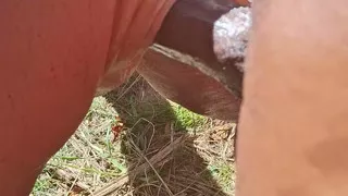 Key West taking Pedros huge cock in the grassy area at the beach