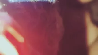 My sweetheart is very sex girl