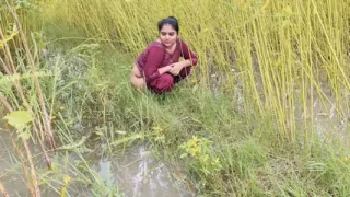Video of hardly fucking a beautiful Indian auntie from the village at her home.