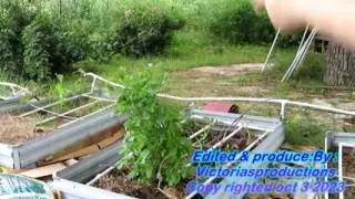 Sexy Walk in the Garden and Clean up Mess