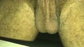 Roots #08