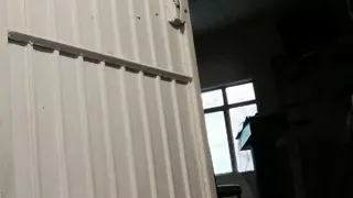 Shaved Pussy