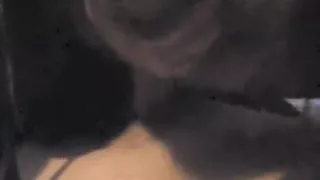 Young Couple 1st Bj On Cam