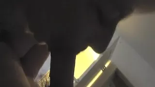 Slut Wife Sucking Cock