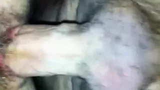 Fucking Her Creamy Hairy Pussy From Behind