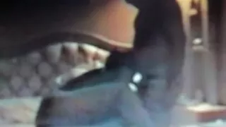 Sucking Cock