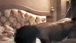 Pumping My Pussy Up