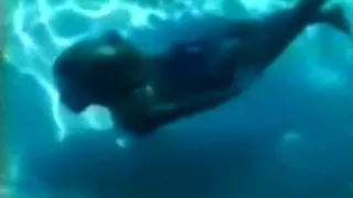 Underwater Swimming And Strip