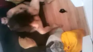 Wife Caught With Neighbour