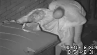 Fabulous amateur reality, straight porn video