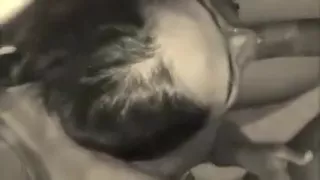 Bhabhi Blowjob To Sex