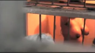 Bhabhi Filmed From Window