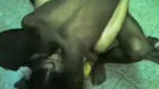 Village Amateur Homemade