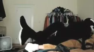 squirting amateur with anal creampie