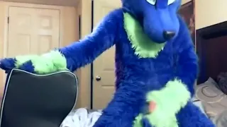 A Room with a Blue Wolf