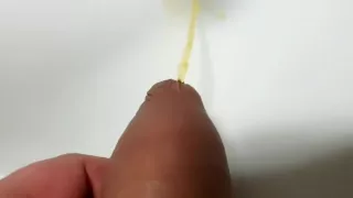 Pissing before washing my sensitive cock head