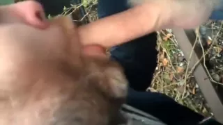 Norwegianbear out crusing - Outdoor Blowjob