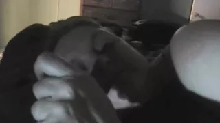 Großer Schwanz, Monsterschwanz, Realität