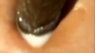 Siraias BBC Belly Oil Play Time