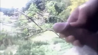 Tanten rennen weg, nachdem sie Schwänze gesehen haben