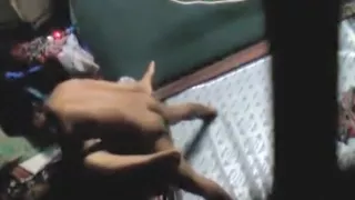 Desi Randi Homemade Fucking