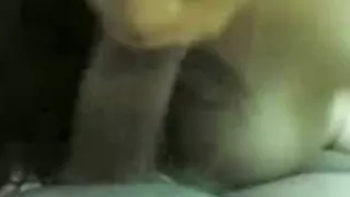 Desi Naked Wife Bj And Fuck