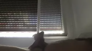 Hairy Bear solo afternon jacking and Cuming