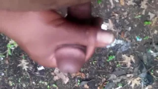 Ruckeln in den Wäldern