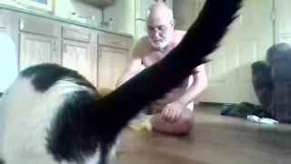 Razkazovanje V Javnosti, Geji