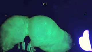 Anal Dildo in the Crazy Blacklight and Neon Lube