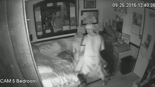 loving all the pussys