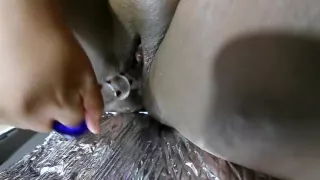 19yr Old JOI Countdown Masturbation Squirt