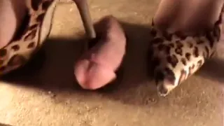 Chick In Leopard Heels Is Stepping On His Prick And He Shoo