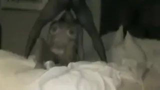 The Benefit Is Returned By Butt Woman Driving To Orgasm