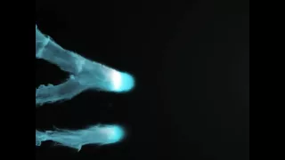 Viktoria enjoys leather and penetration