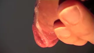 Close Up Of My Cock And Cum