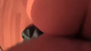 Doggie With The Wife