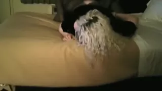 Allysin Payne : Sloppy Seconds