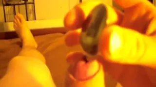 Insertion In My Penis