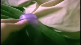 Tight Young Teen Fucks Pussy